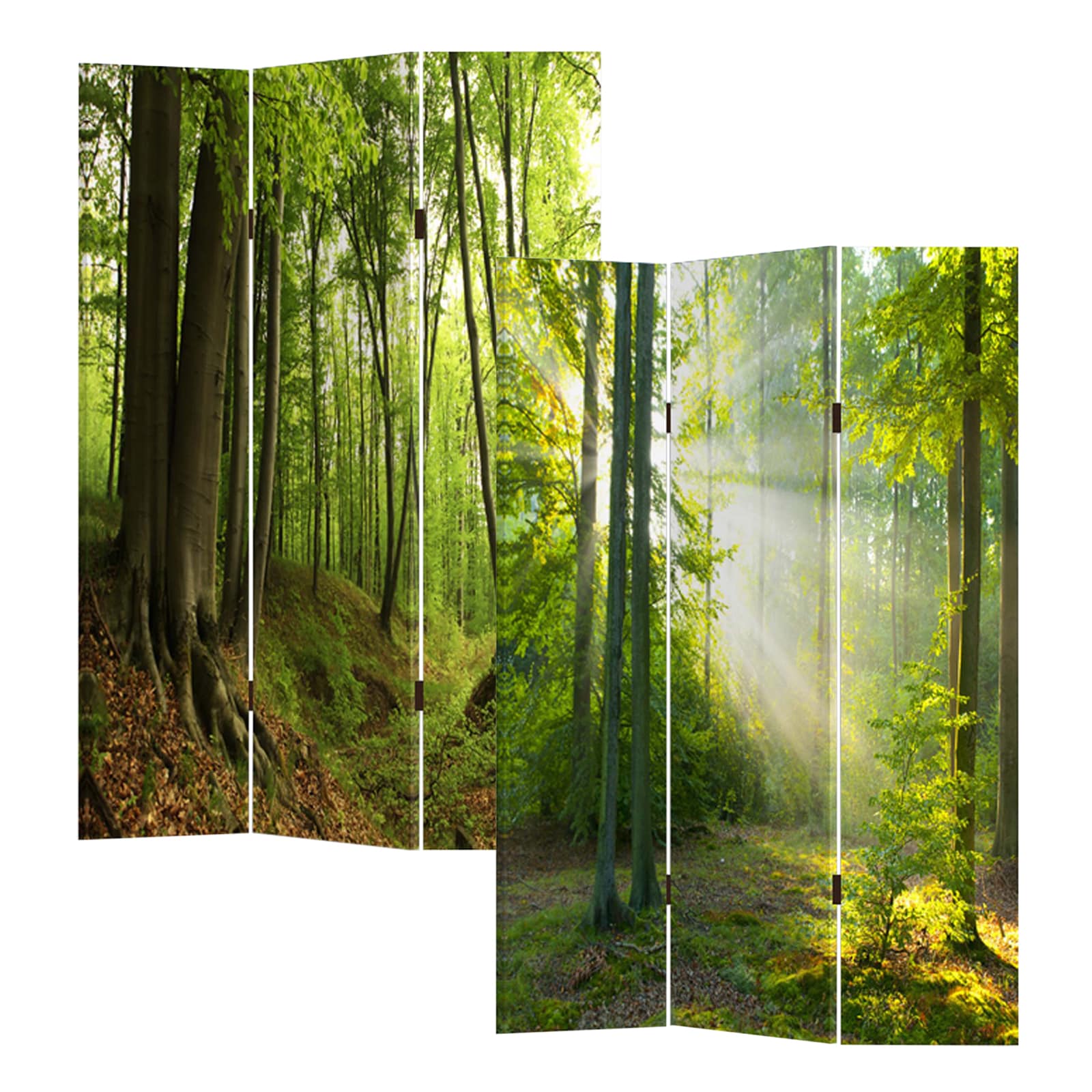 HTI-Line Paravent Waldweg - Bild 1