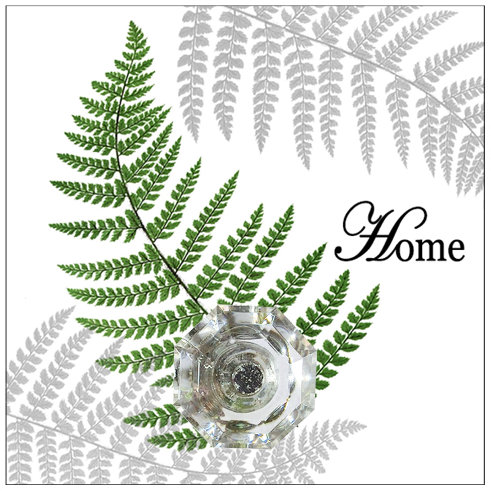 HTI-Line Wandhaken Leaf - Bild 1