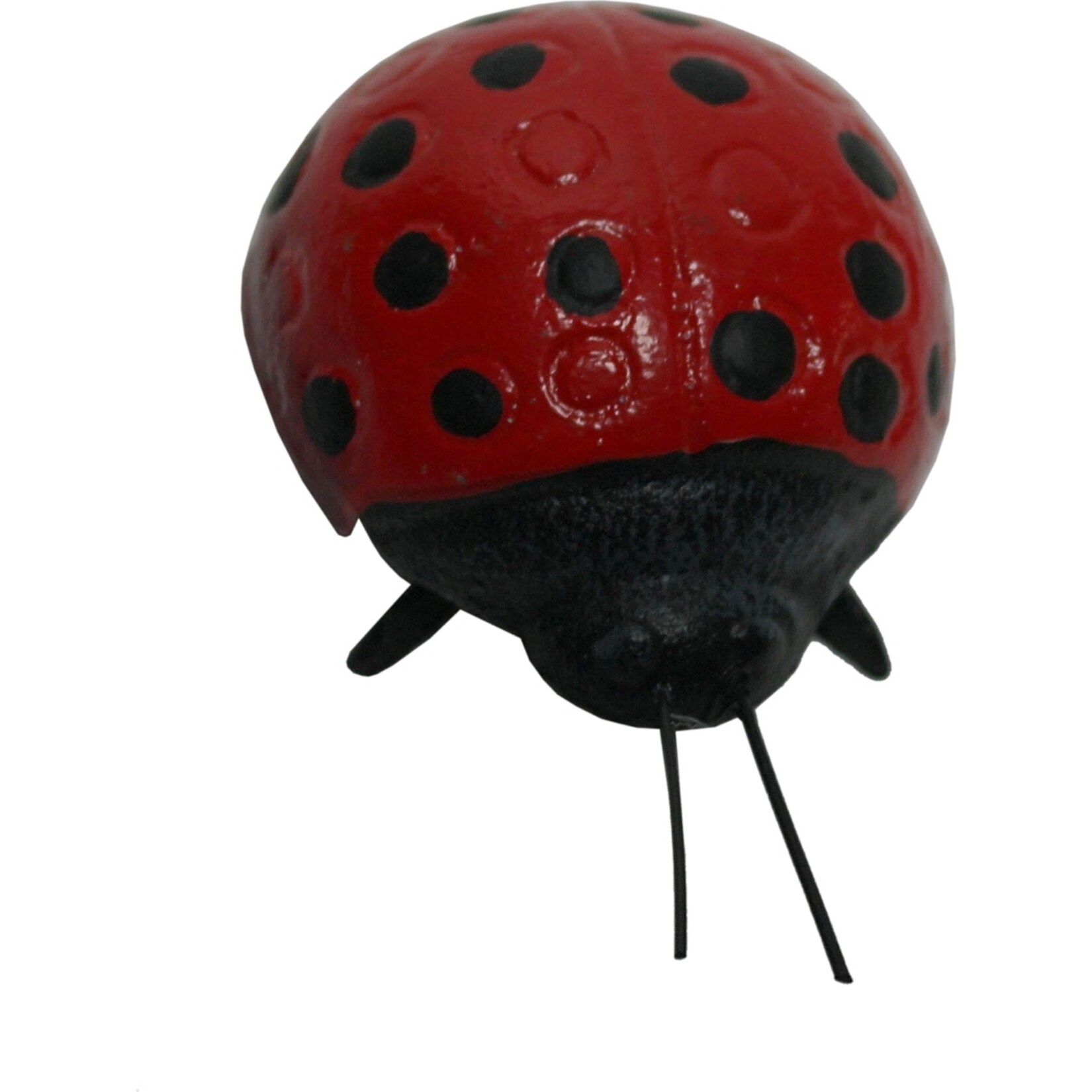 HTI-Line Wanddeko Marienk&auml;fer - Bild 1