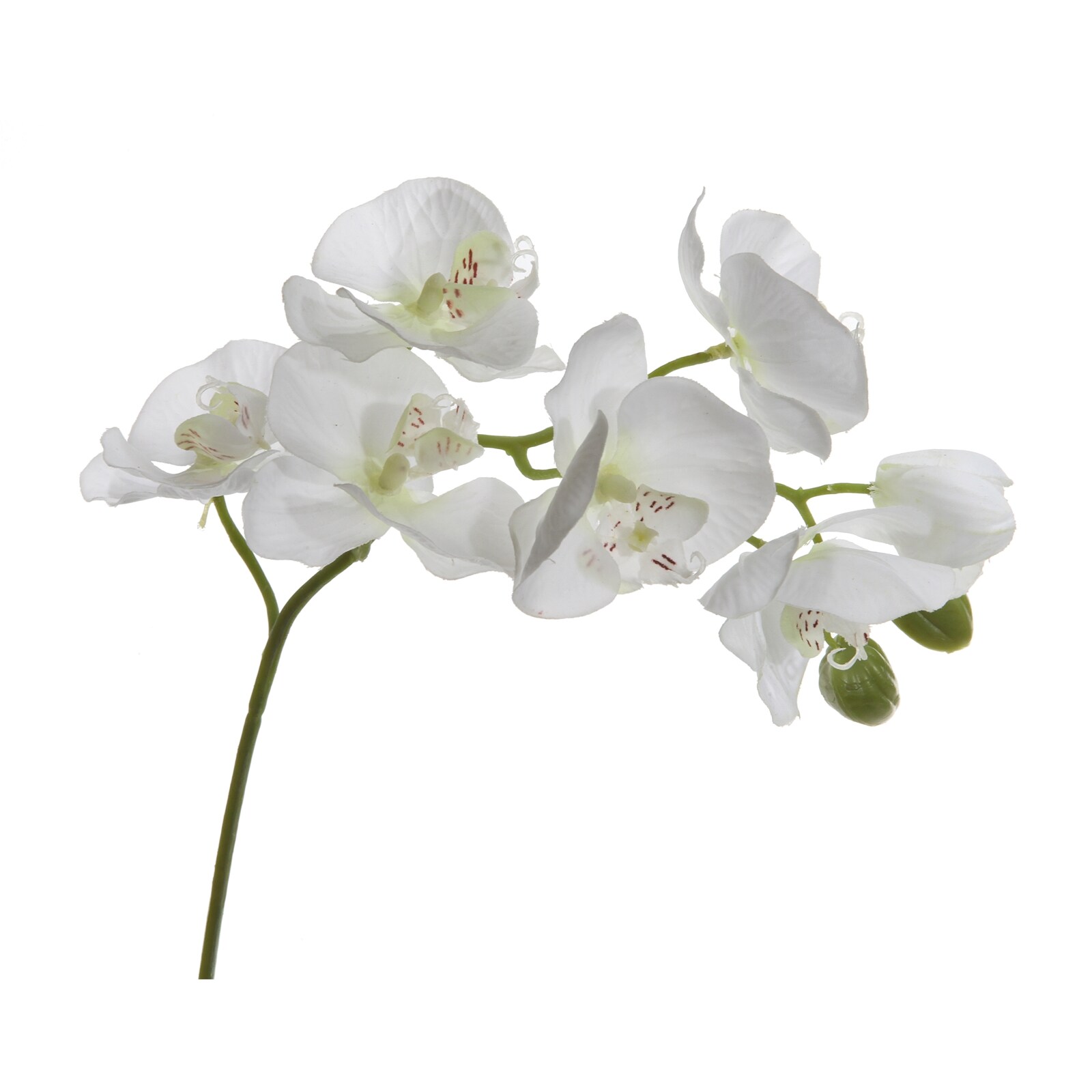 HTI-Living Orchideenzweig Kunst 9 Blüten