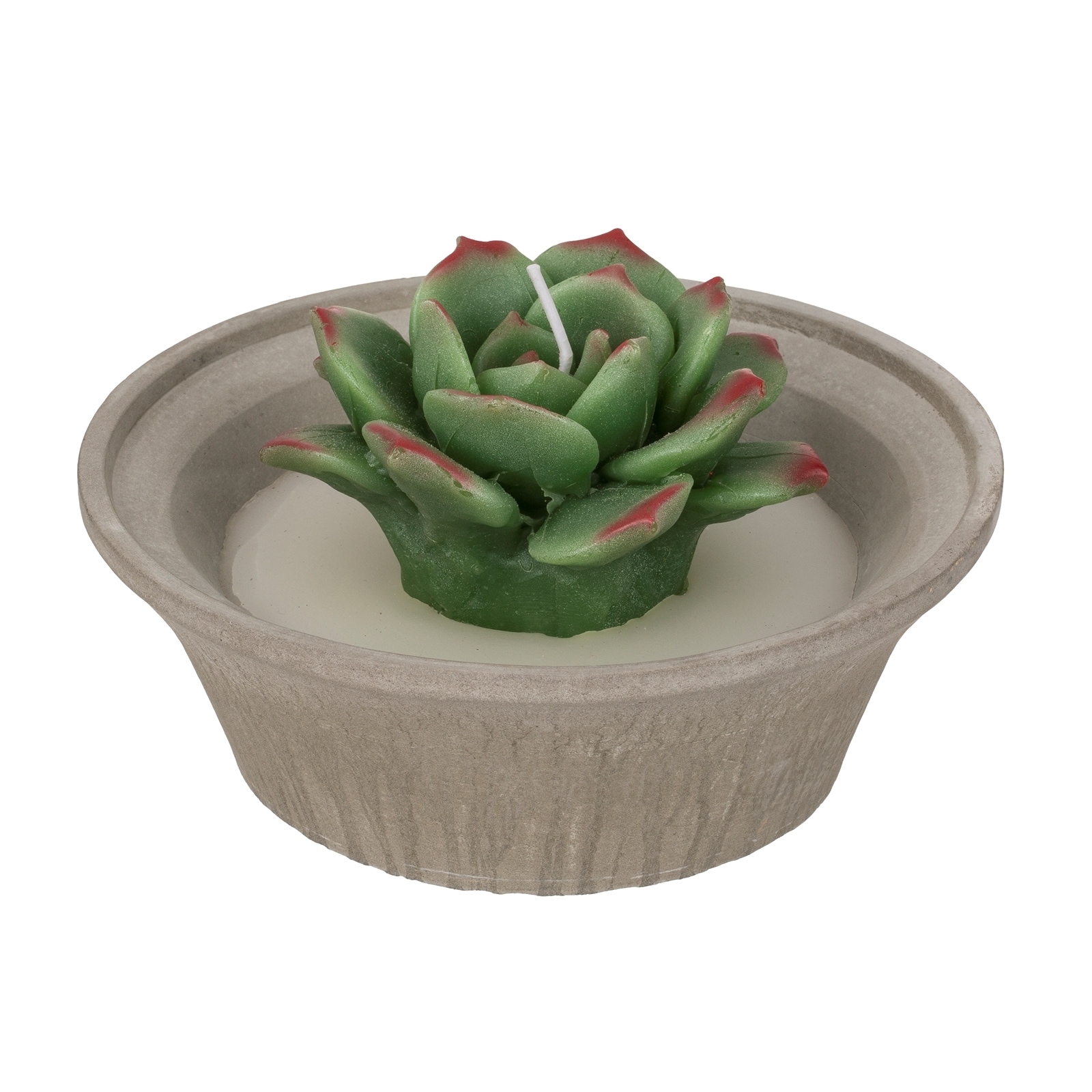 HTI-Living Kerze 1 St&uuml;ck Sukkulente - Bild 1
