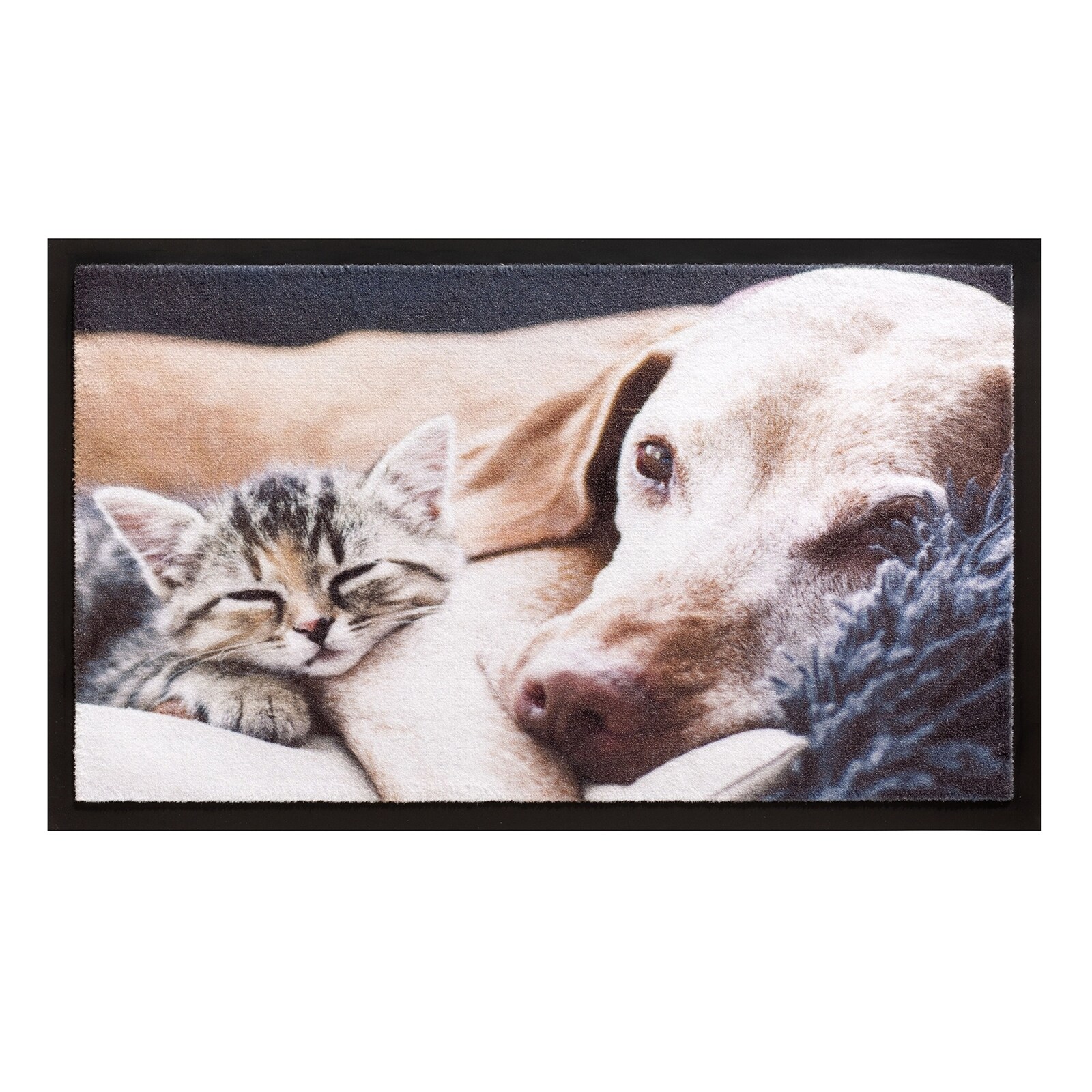 HTI-Living Fu&szlig;matte 40x60 cm Image Kitten - Bild 1