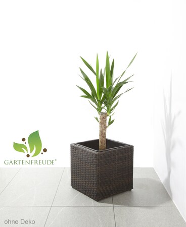 Gartenfreude Pflanzkübel Polyrattan Blumentopf online kaufen bei Netto