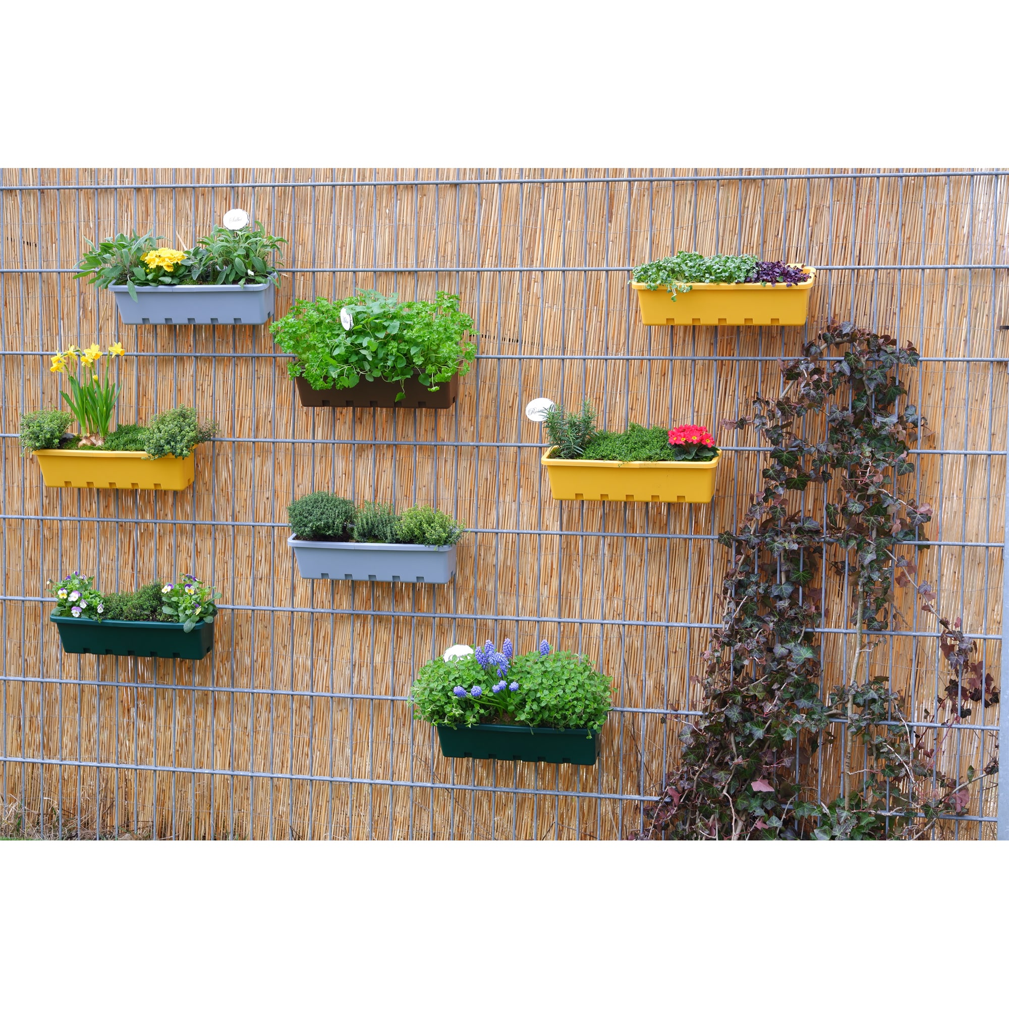 GreenLife Blumenkasten / Kräuterbox 10 Stück, terrabraun, komplett online kaufen bei Netto