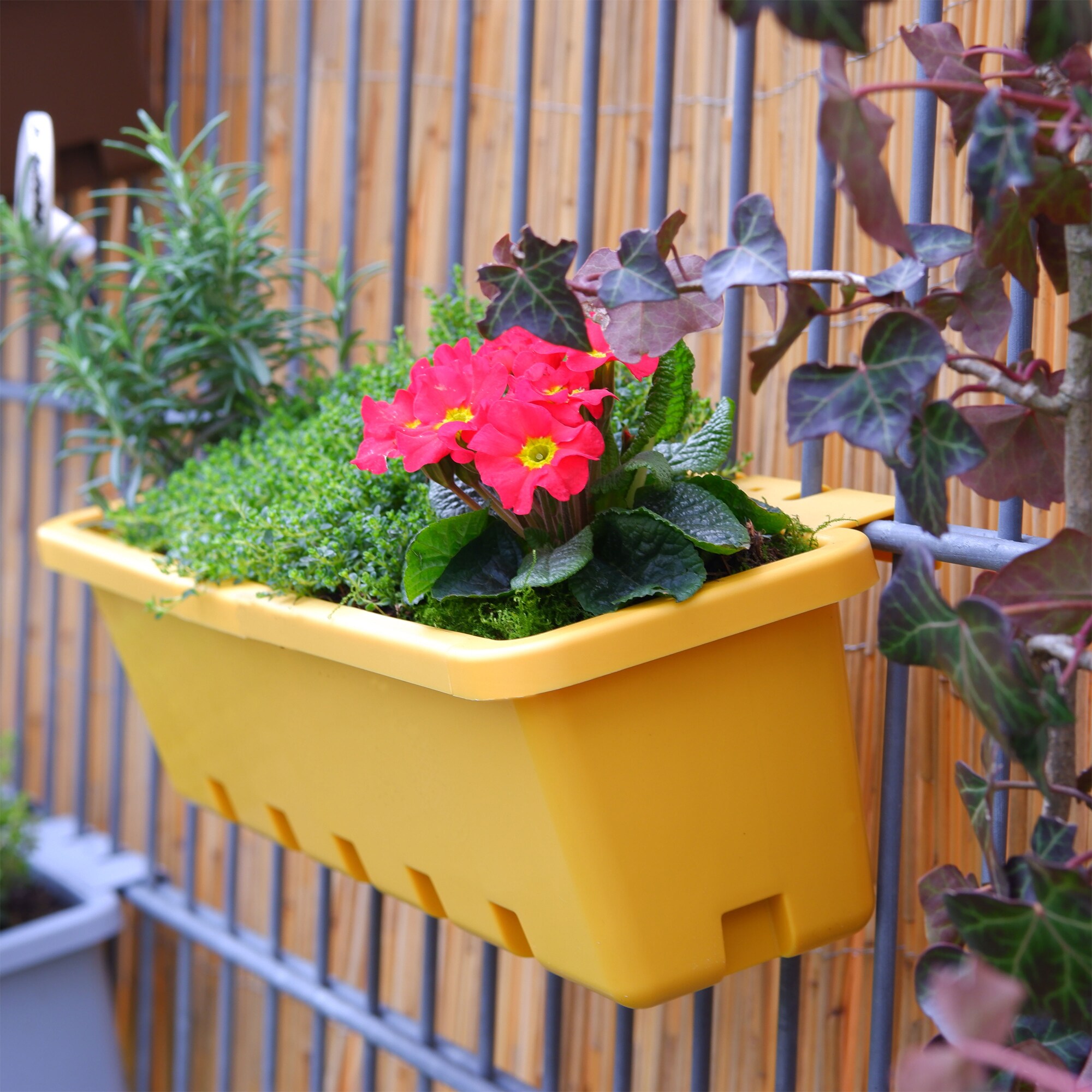 GreenLife Blumenkasten / Kruterbox 3 Stck, terrabraun, komplett
