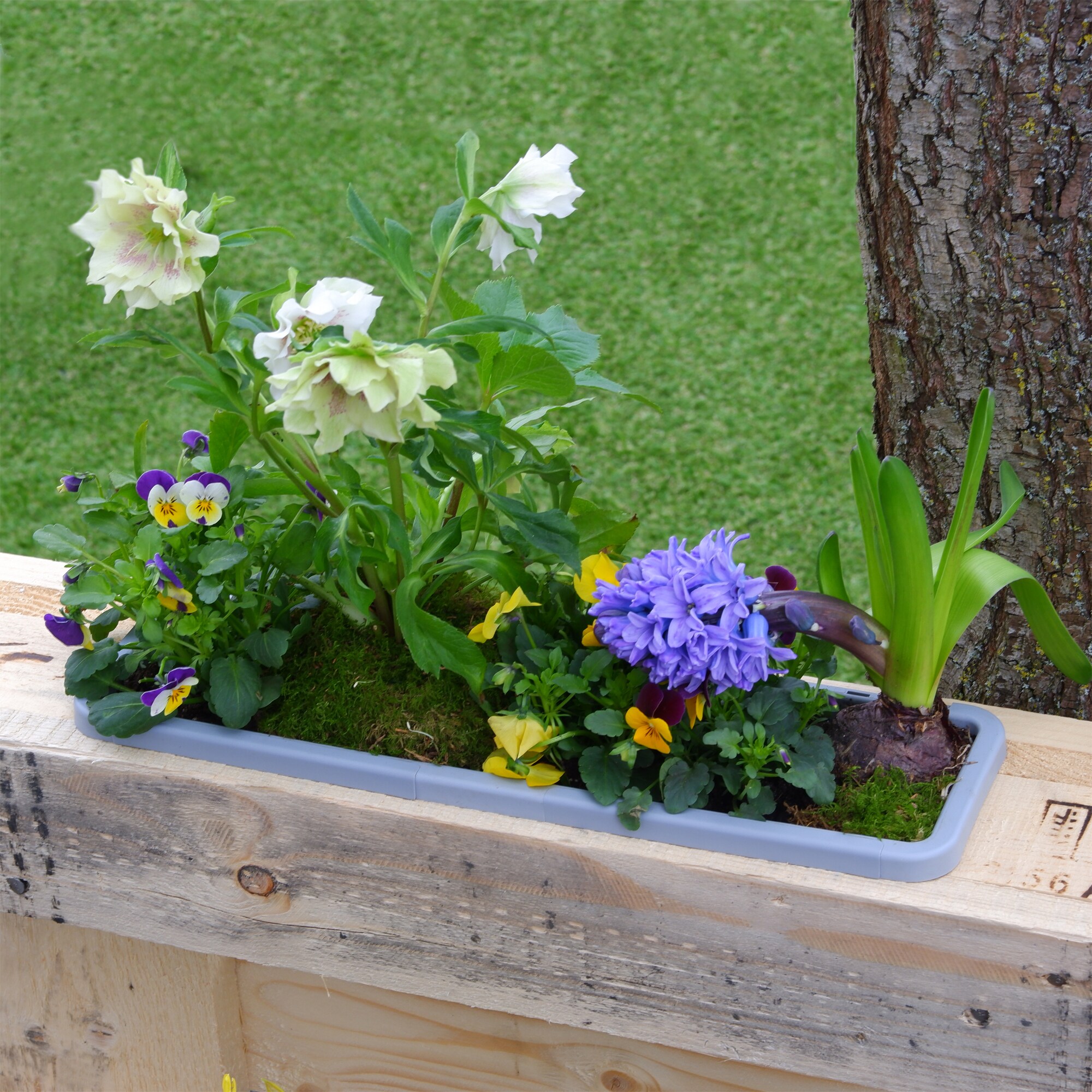 blumenkasten vlies alternative Rechteckiger Blumenkasten fr auen