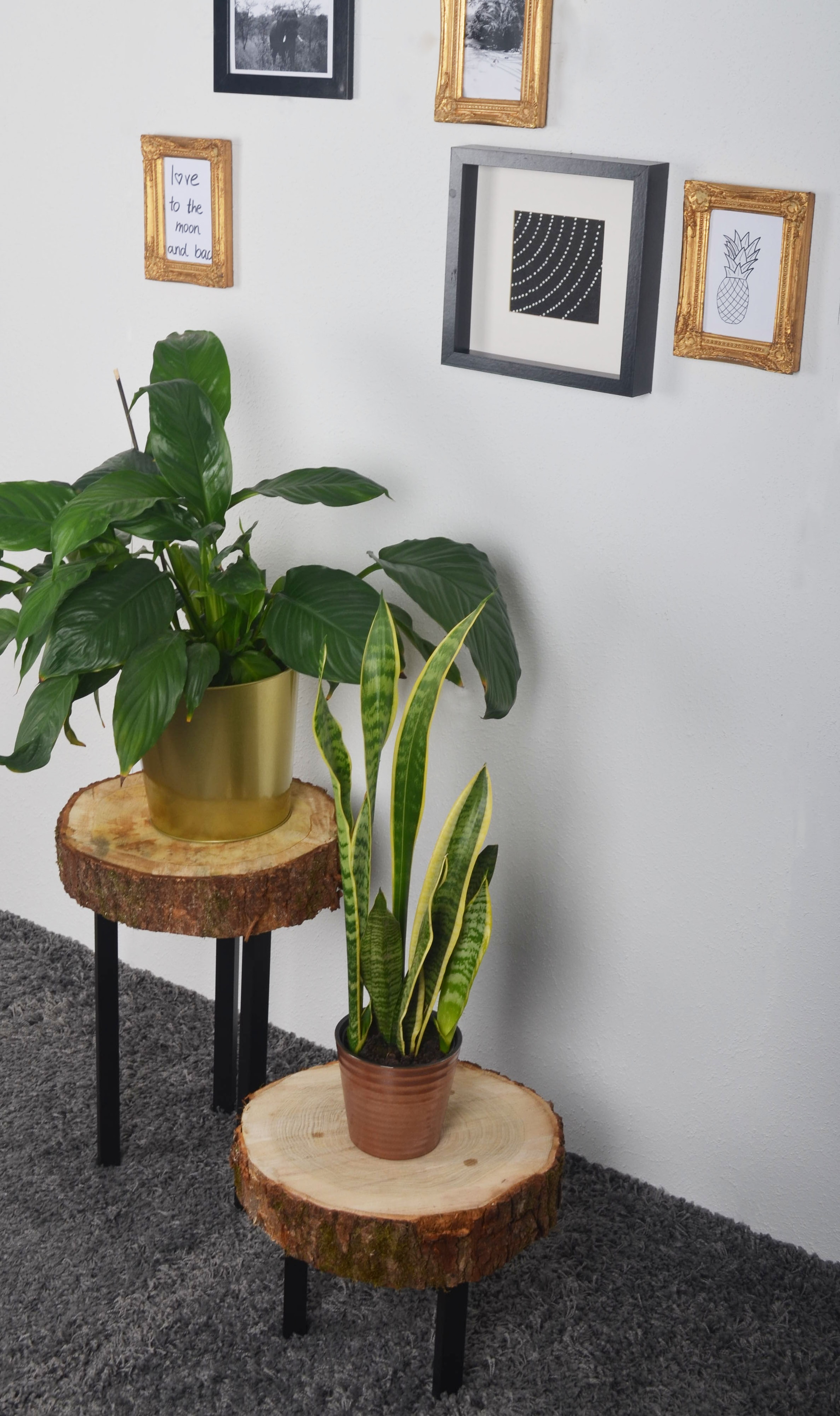 Element System M&ouml;belf&uuml;&szlig;e 4er-Set &Oslash;30 Mattschwarz Tischbeine Tischgestell - Bild 1