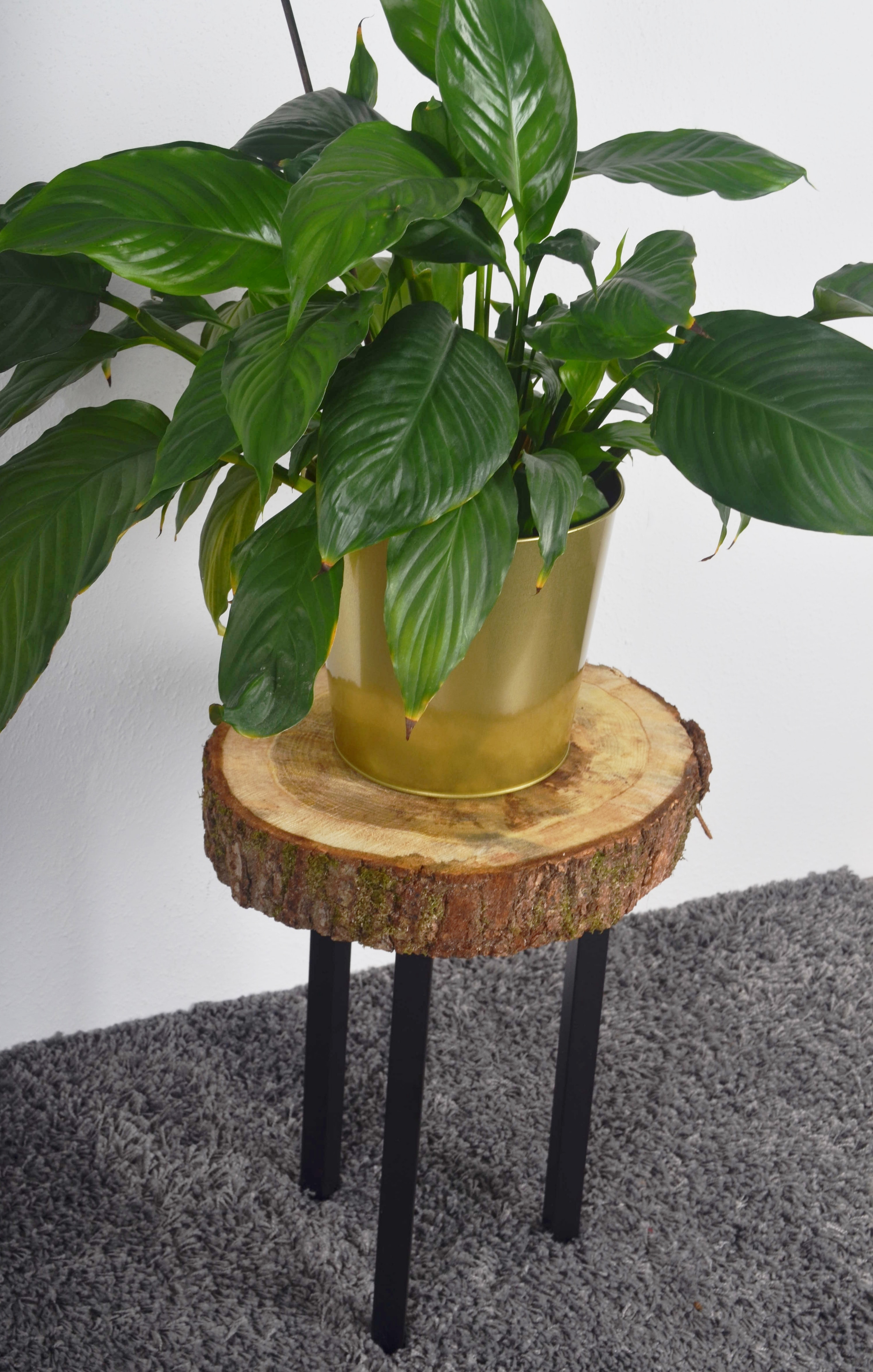 Element System M&ouml;belf&uuml;&szlig;e 4er-Set eckig 25x25mm L400mm matt-schwarz Tischbeine Tischgestell - Bild 1