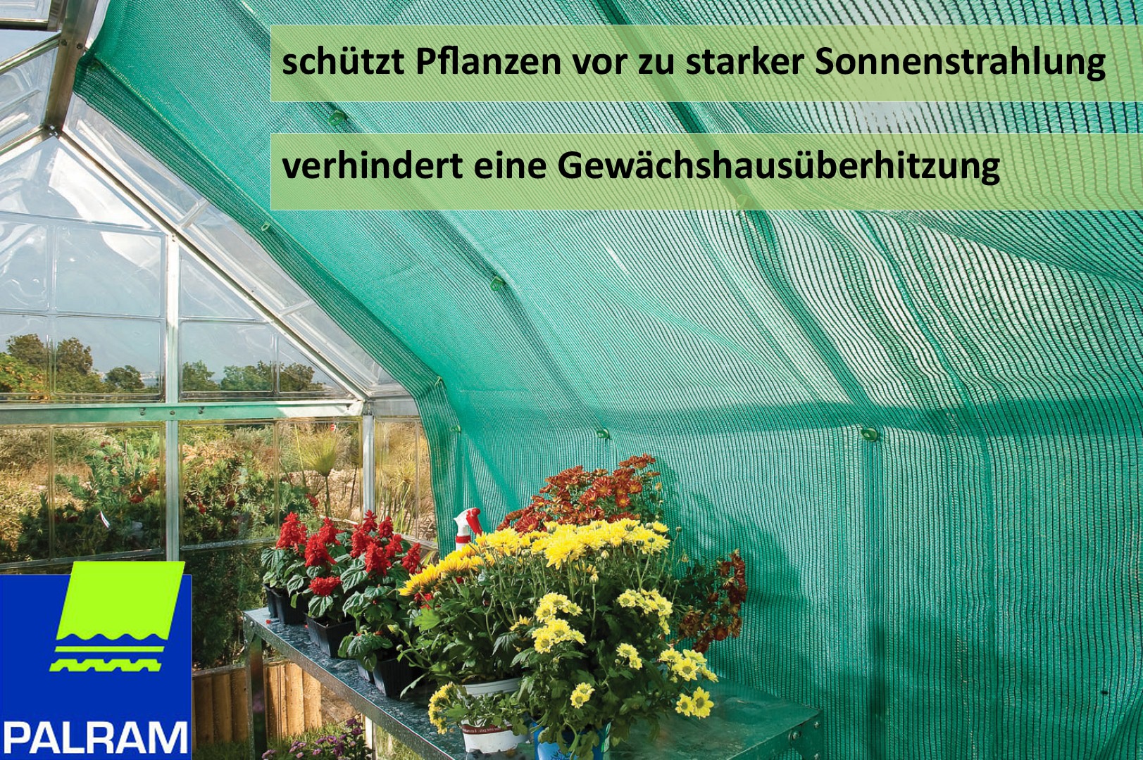 Palram - Canopia |2.3 x 2.65 Schattierung Gew&auml;chshaus - Bild 1