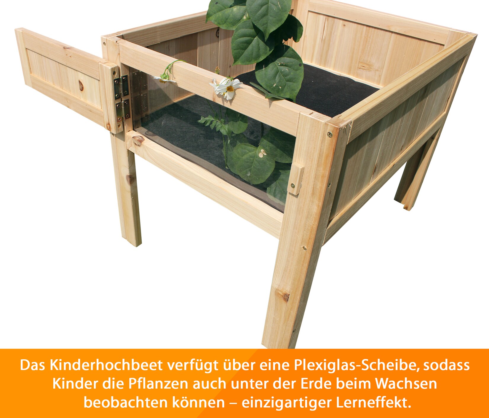Coemo Hochbeet Peter für Kinder mit Schaufenster | 04260360015236