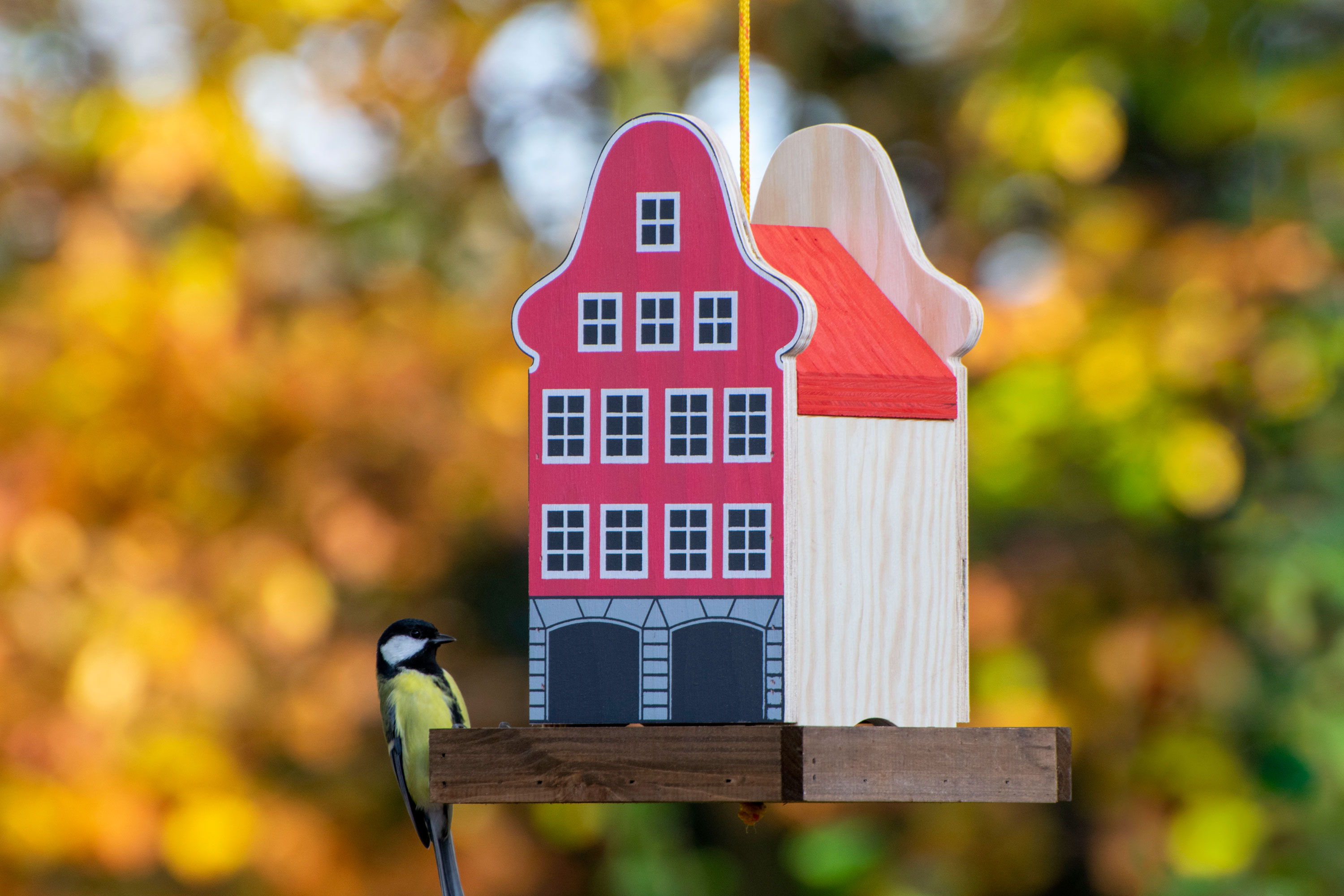 dobar Buntes Deko-Vogelhaus "M&uuml;nster" - Bild 1