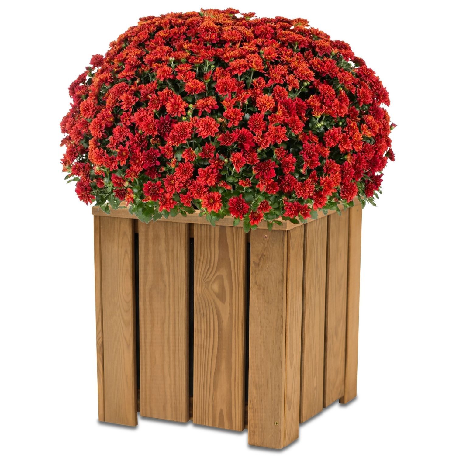 Coemo Blumenkasten Riga kleines Kr&auml;uterbeet Pflanzk&uuml;bel - Bild 1