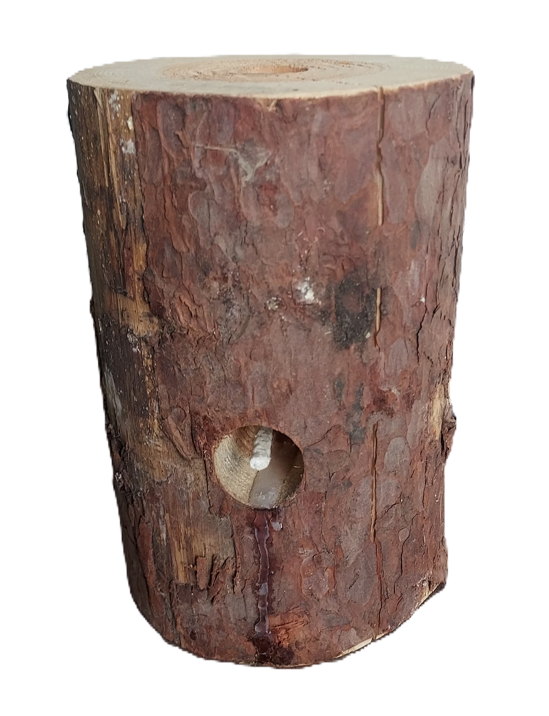 Woodson Citronella Schwedenfeuer 5 St&uuml;ck Finnenfackel Baumfackeln - Bild 1