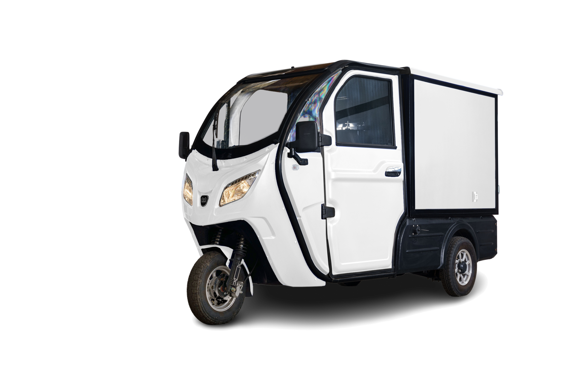 Stormborn Y8C 45 km/h Cargo Dreirad verschiedene Farben - Bild 1