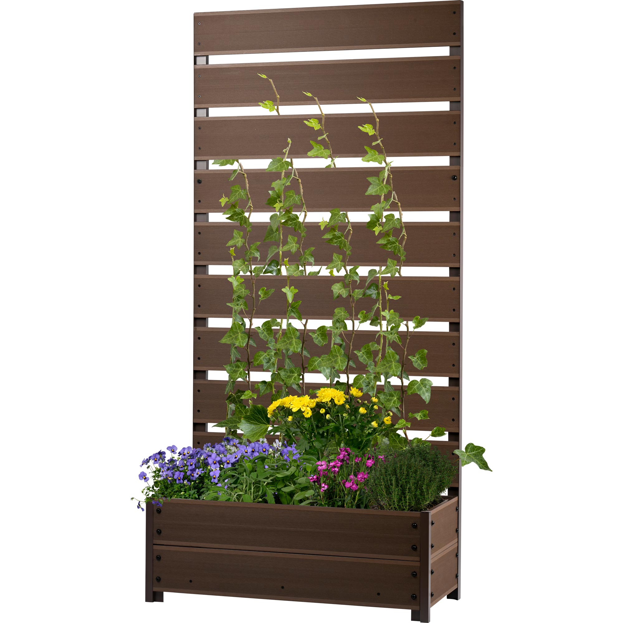 dobar Pflanzk&uuml;bel mit Rankgitter - Bild 1