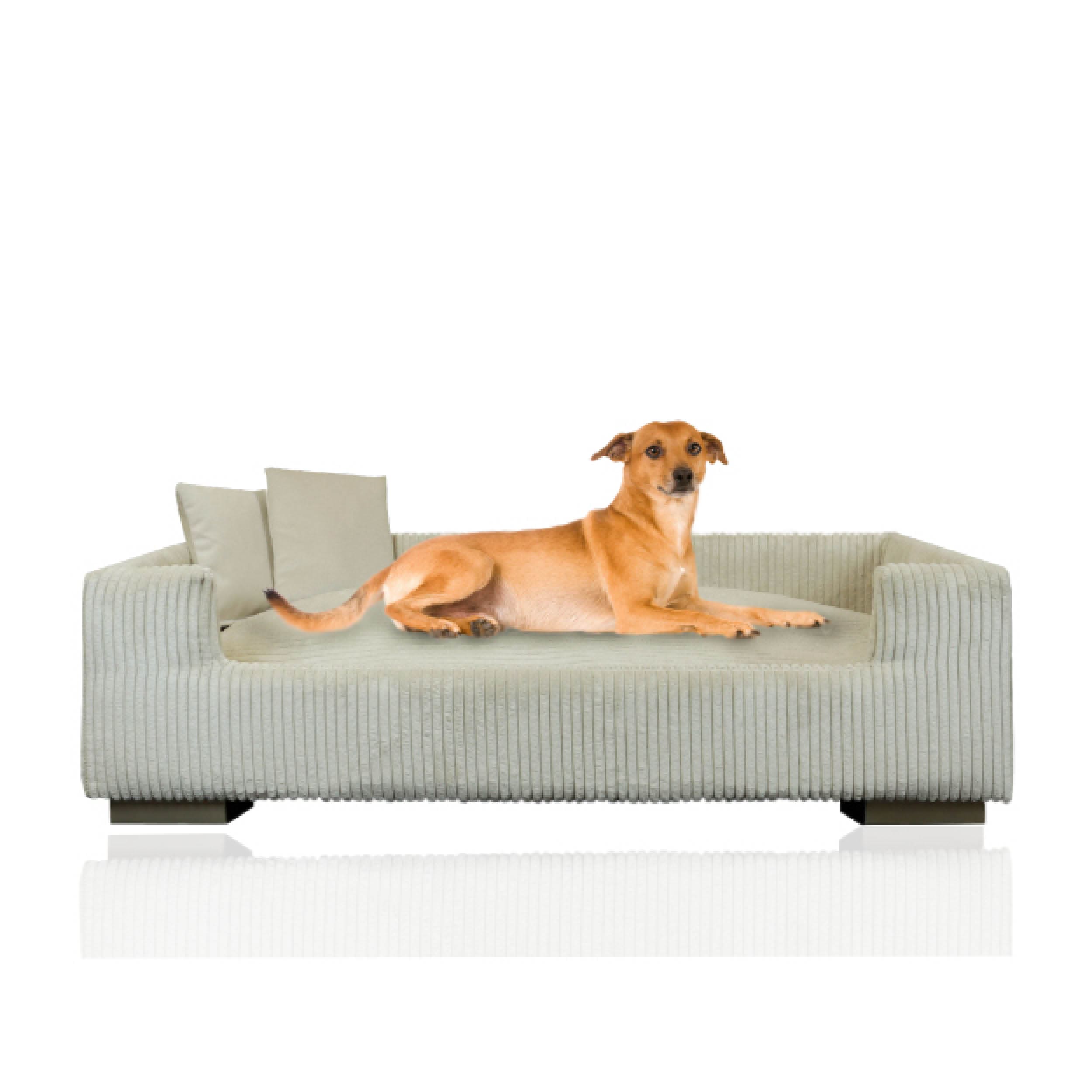 Rohrschneider Hundesofa gepolstert Cord breit beige - Bild 1