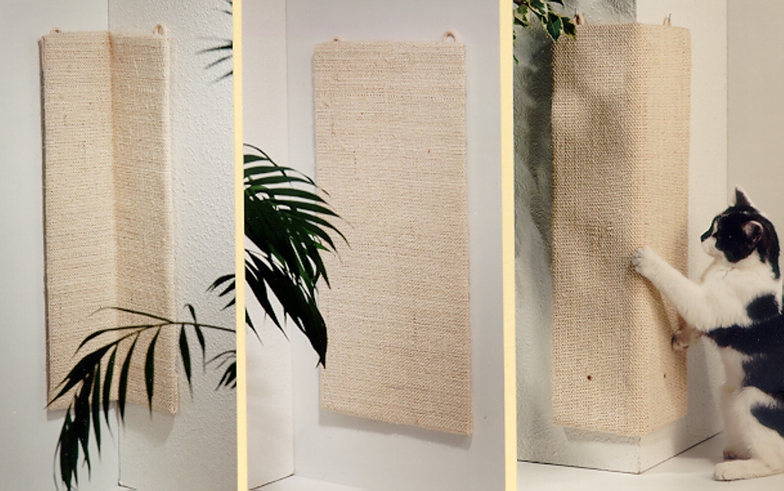 Rohrschneider Kratzecke 52 - Bild 1