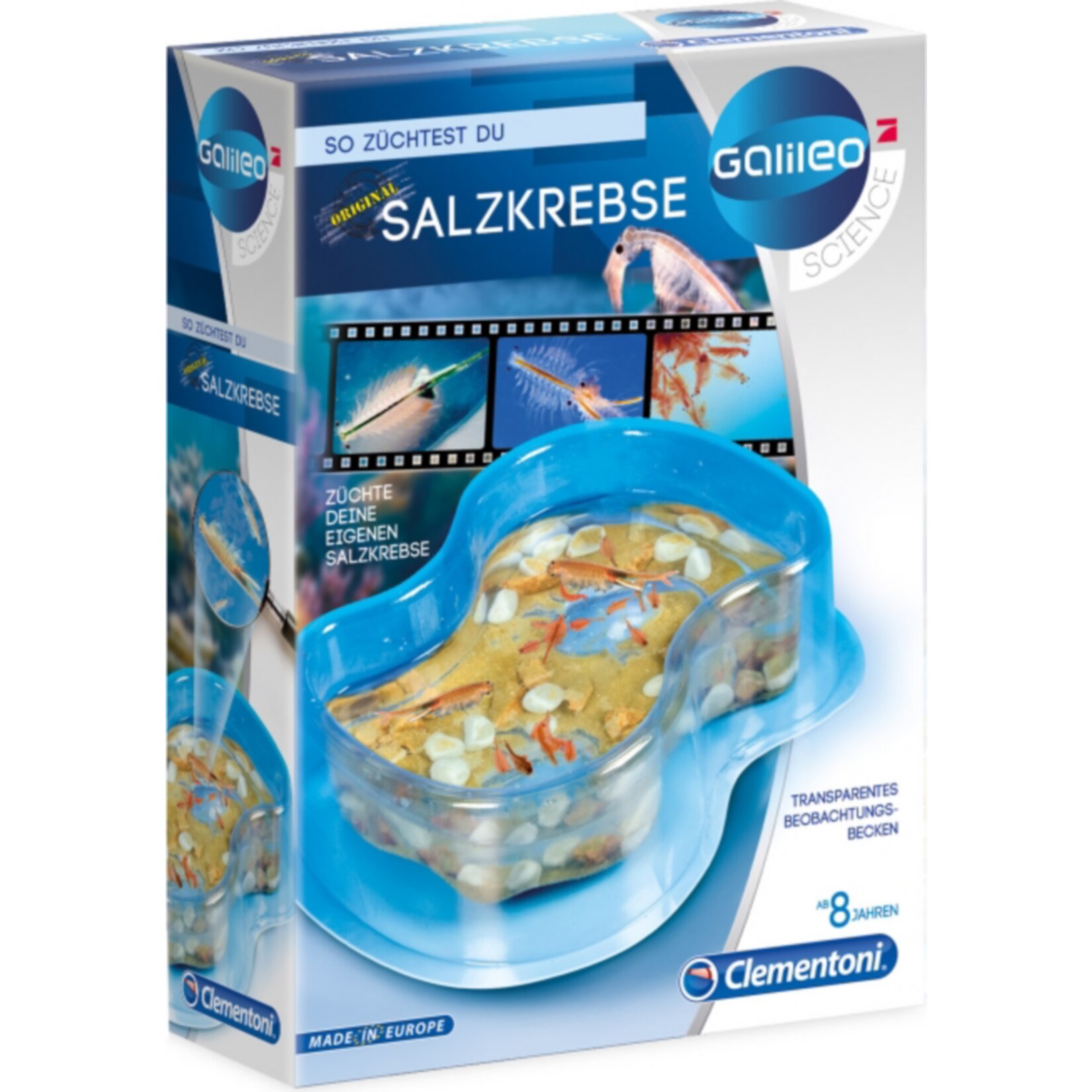 Galileo Original Salzkrebse - Bild 1