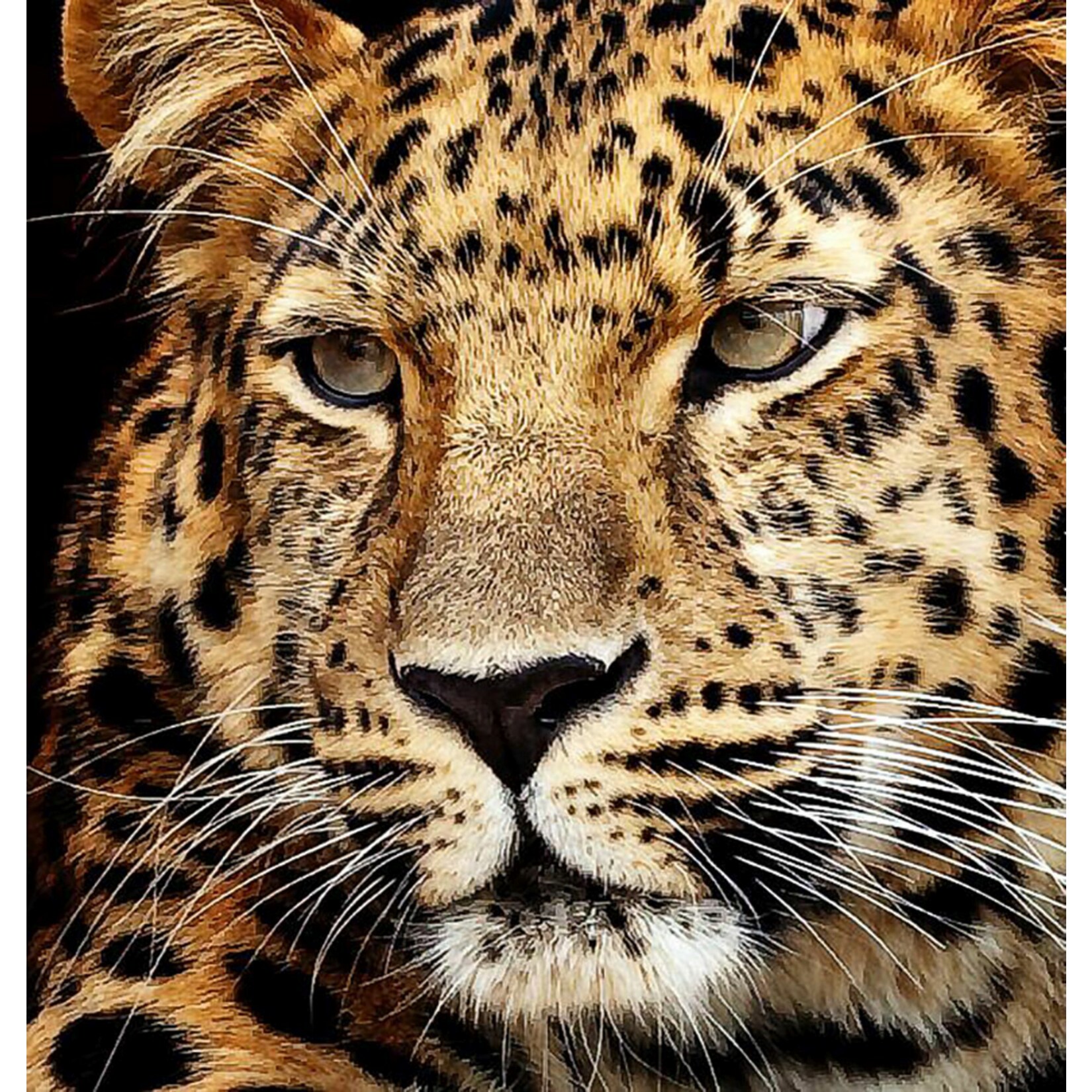 Diamond Dotz Diamond Painting Jaguar Kopf 40x30 cm - Bild 1