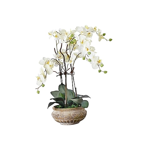 Kunstpflanze Orchidee mit Übertopf aus Keramik Weiß - Bild 1