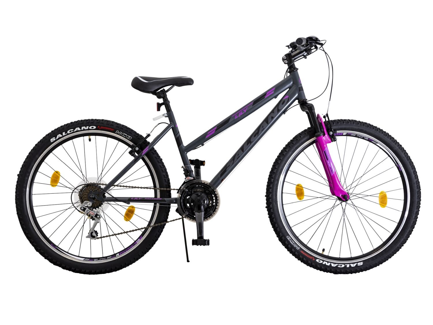 24 Zoll Fahrrad Hardtail 21 Gang 24" Jugend Rad Mountainbike MTB 13" - Bild 1