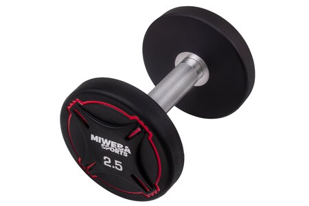 Miweba Sports Kurzhantel-Set RH100, Stahl-Hantelset, 2,5-25 kg,  PEV-Ummantelung, bodenschonend (2x 2,5 Kg) online kaufen bei Netto