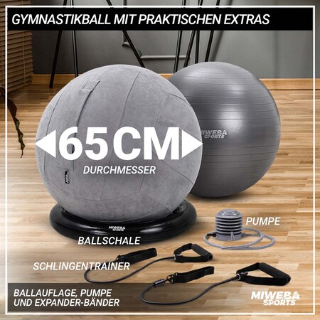 Miweba Sports 4in1-Gymnastikball-Set, Sitzball, 65 cm, Ballschale, Pumpe,  Bezug, Schlingentrainer (Grau) online kaufen bei Netto