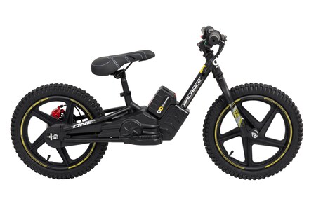 Elektro-Laufrad, 16 Zoll, Kinder-Balance-Bike m. 250 Watt