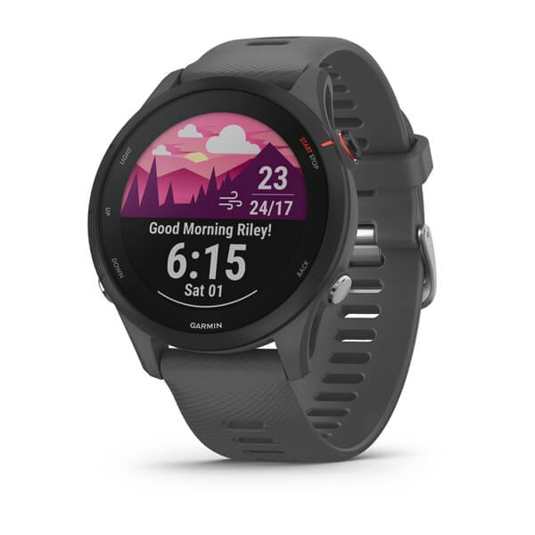 Garmin Forerunner 255 Basic Slate Grey - Bild 1