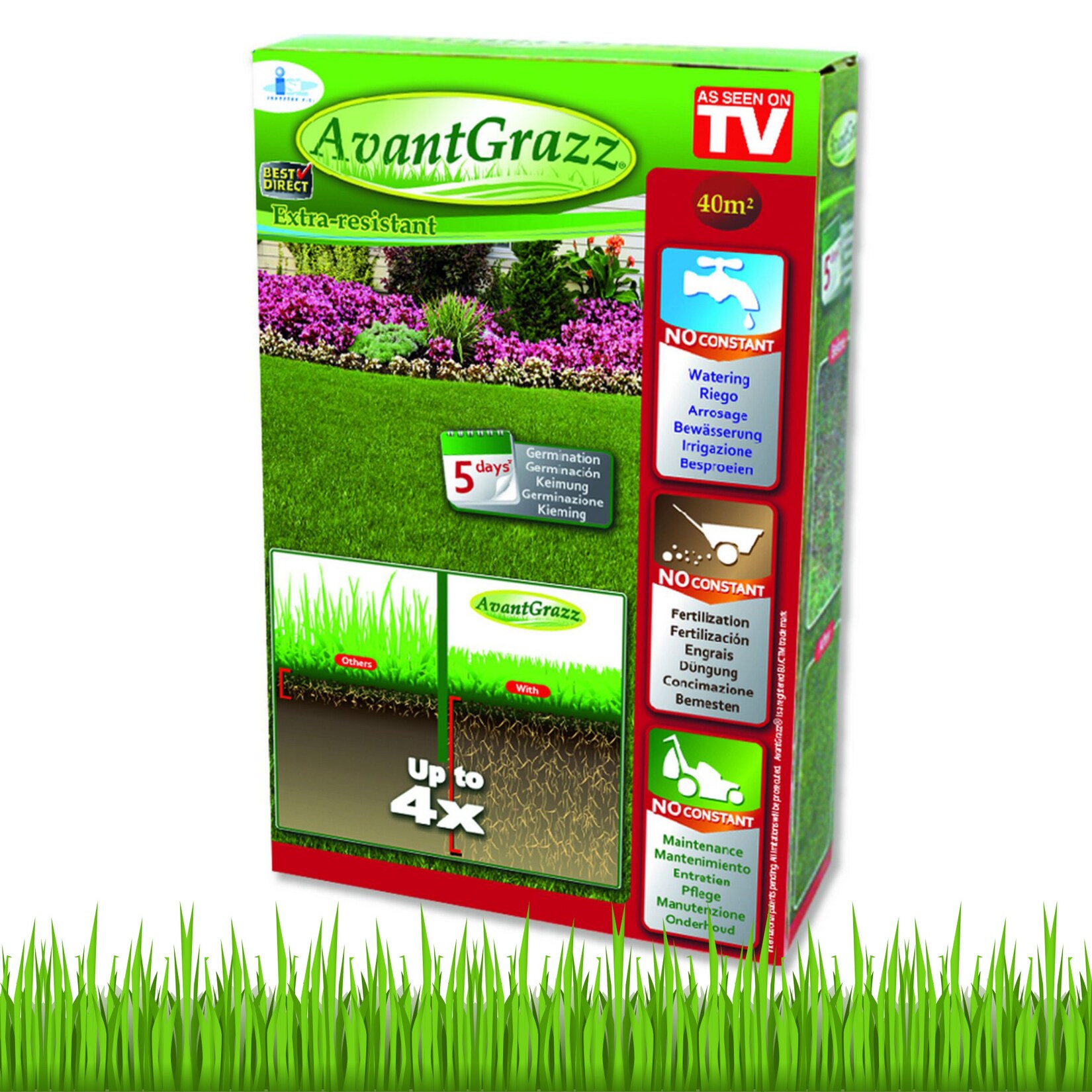 Best Direct® Rasensamen – Grassamen – Unkrautresistent – Nachsaat Avant Grazz | 00644812023361