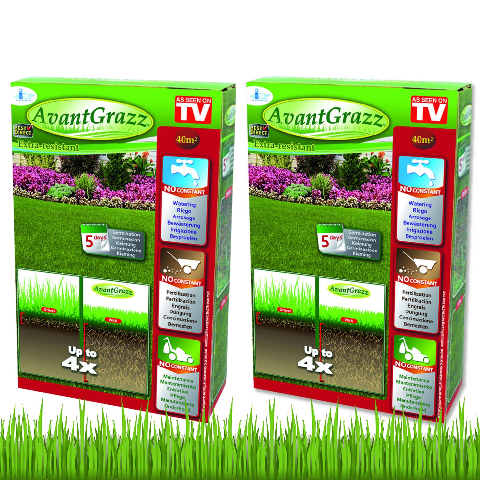 ® Rasensamen - Grassamen - Unkrautresistent - Nachsaat Avant Grazz