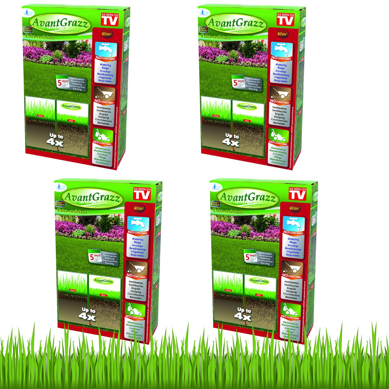 ® Rasensamen - Grassamen - Unkrautresistent - Nachsaat Avant Grazz