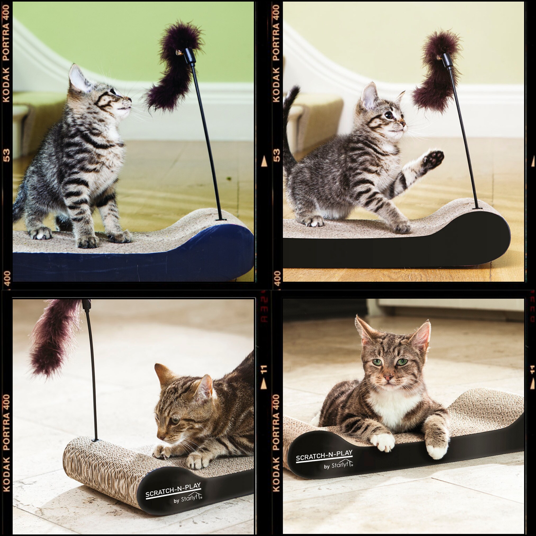 Best Direct Katzen Kratzpappe - Kratzmatte, Pappe, Katze Scratch N Play  bei Marktkauf online bestellen