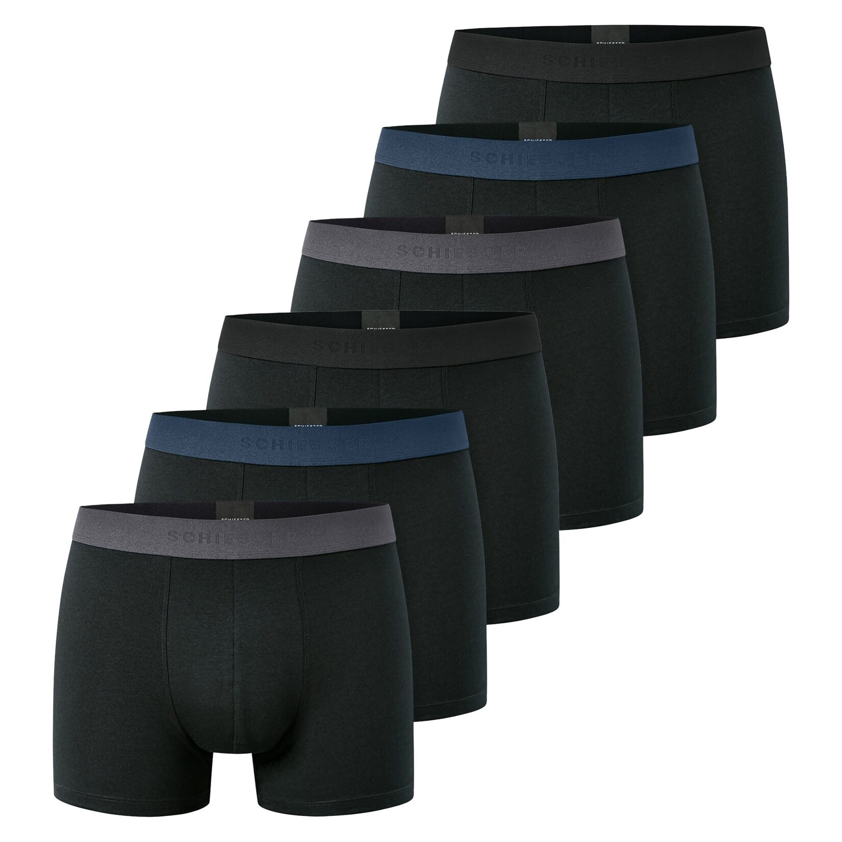 6PACK Shorts "95/5" Herren Boxershort