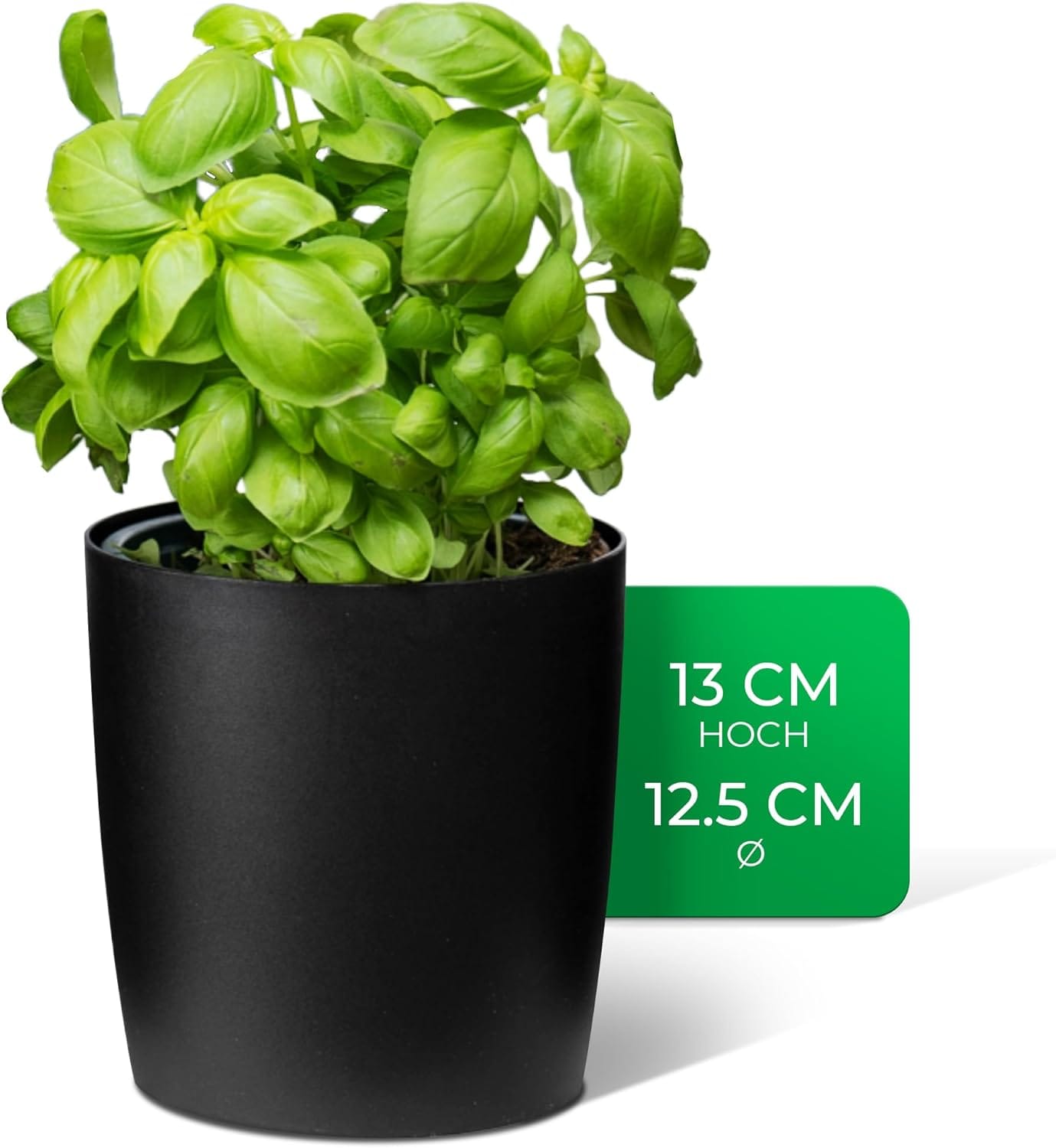 Novaliv Stilvolle Kr&auml;utertopf aus Kunststoff Schwarz f&uuml;r Jede Fensterbank, F&uuml;r frische K&uuml;chenkr&auml;uter, Kr&auml;utergarten f&uuml;r die k&uuml;che, Kr&auml;uterbeet Indoor, Zimmerpflanzen, Pflanzentopf, Pflanzschale - Bild 1