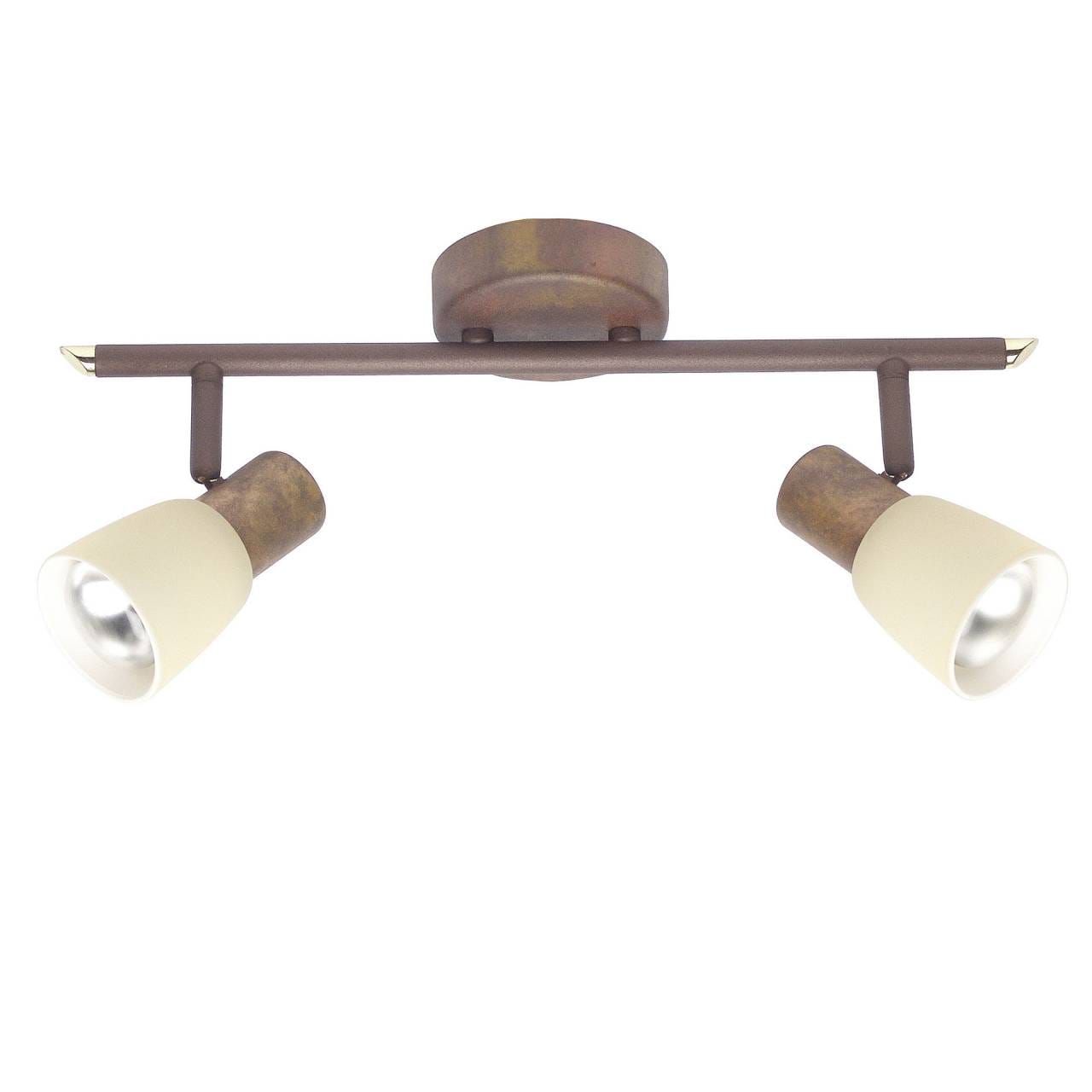 BRILLIANT Lampe Luca Spotrohr 2flg altkupfer/champagner | 2x R50, E14, 40W, geeignet f&uuml;r Reflektorlampen (nicht enthalten) | K&ouml;pfe schwenkbar - Bild 1