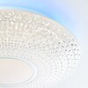 BRILLIANT Lampe Lucian LED Deckenleuchte 41cm weiß | 1x 24W LED integriert,  (2460lm, 3000-6000K) | Stufenlos dimmbar / Steuerbar über Fernbedienung  online kaufen bei Netto
