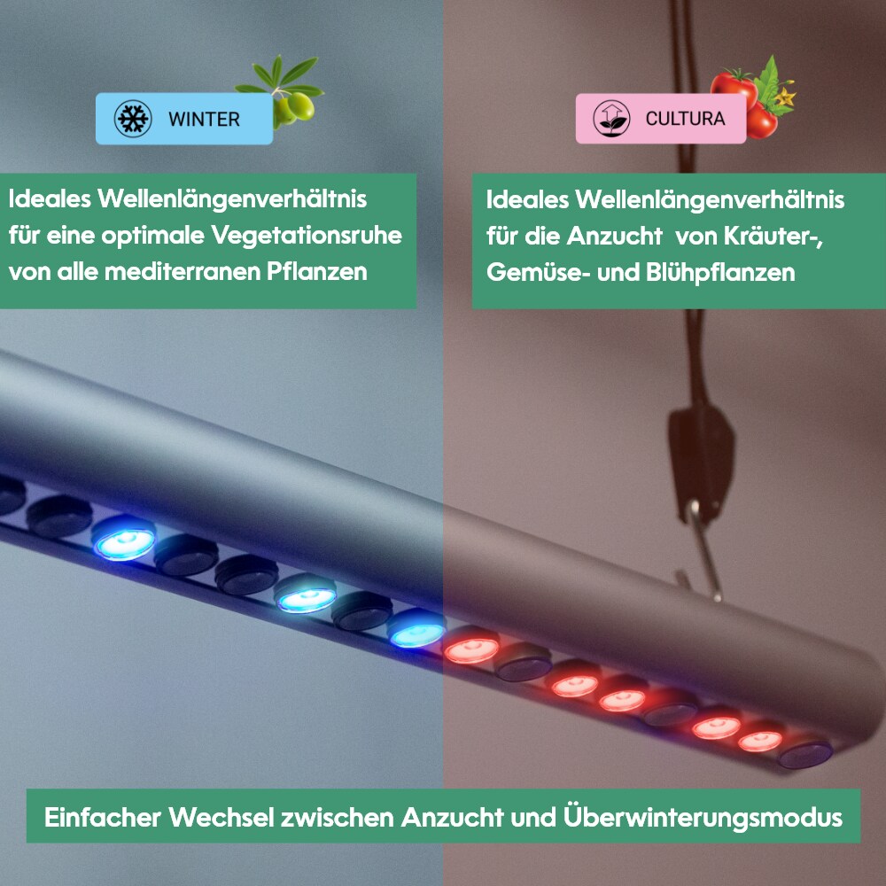 Retoo Pflanzenlampe LED Vollspektrum pflanzenlicht, Schreibtisch Pflanzenlampe für Gewächshaus, Pflanzenleuchte für Zimmerpflanzen, 60 LEDs, Fernbedienung Zeilengesteuerte, Wachstumslicht mit Timer