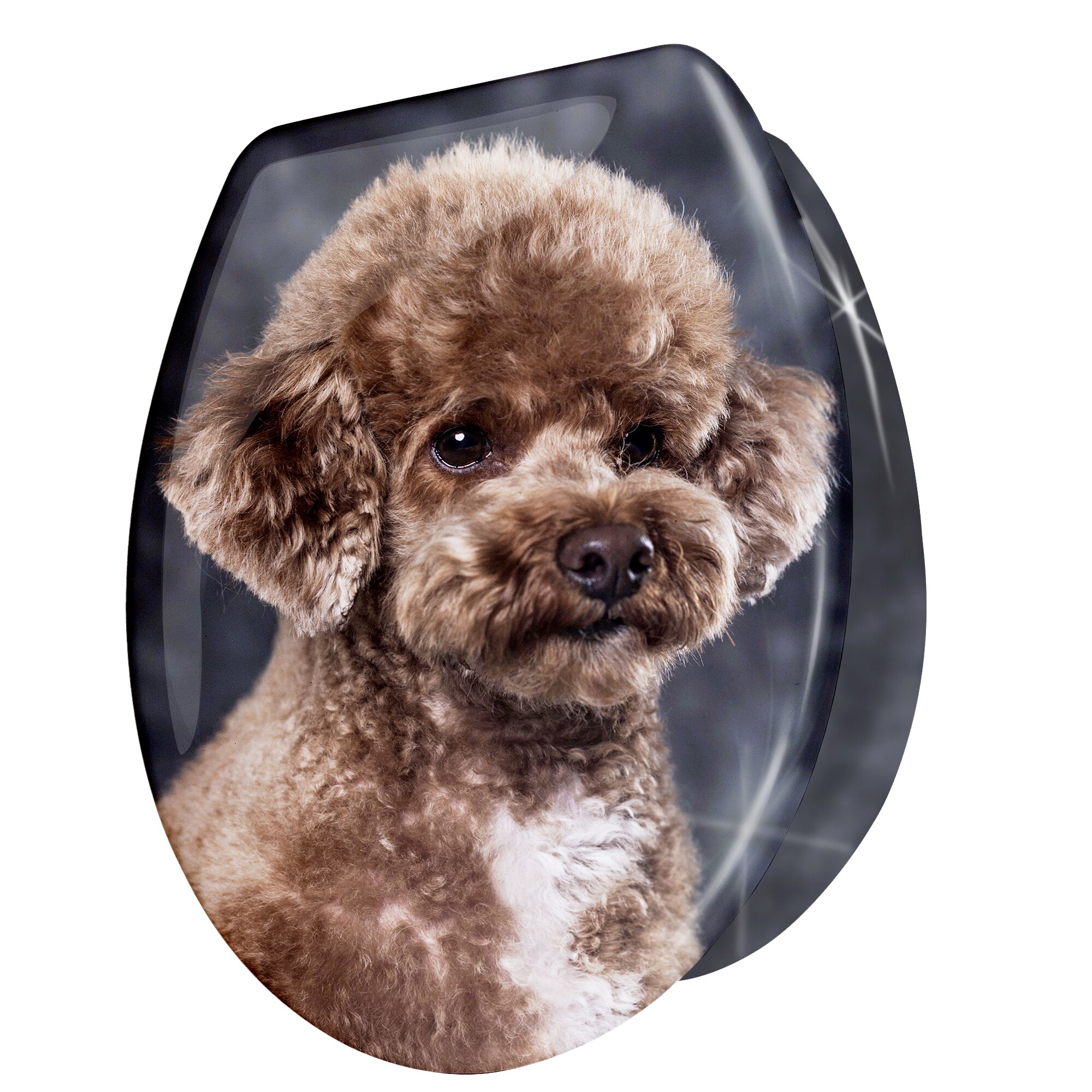 WC Sitz Toilettensitz mit Absenkautomatik Duroplast Klodeckel Klositz - Bild 1