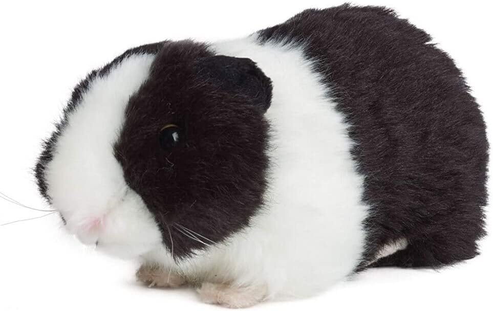 Living Nature Meerschweinchen schwarz 18cm ohne Sound Pl&uuml;schtier Kuscheltier Meerschwein Kinder - Bild 1