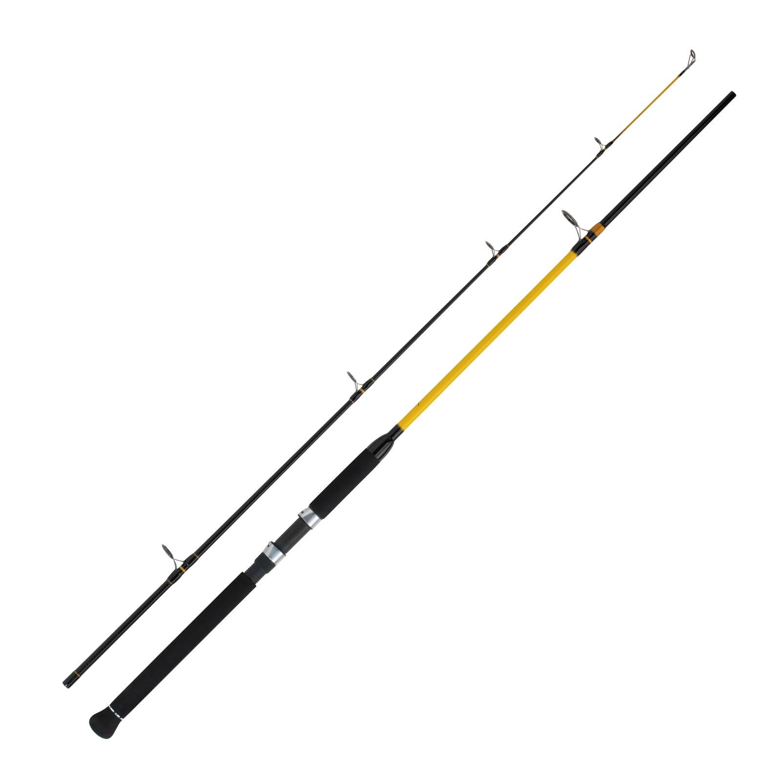 WFT Never Crack Heavy Spin 2,70m 100-400g Norwegen Rute
