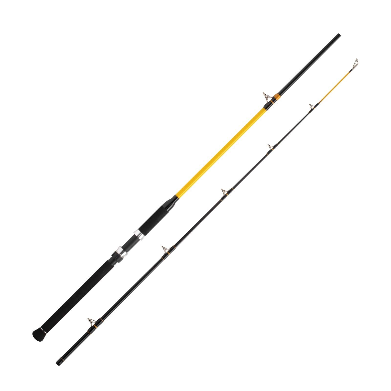 WFT Never Crack Catfish Boat LTC 2,10m 250-1000g Angelrute