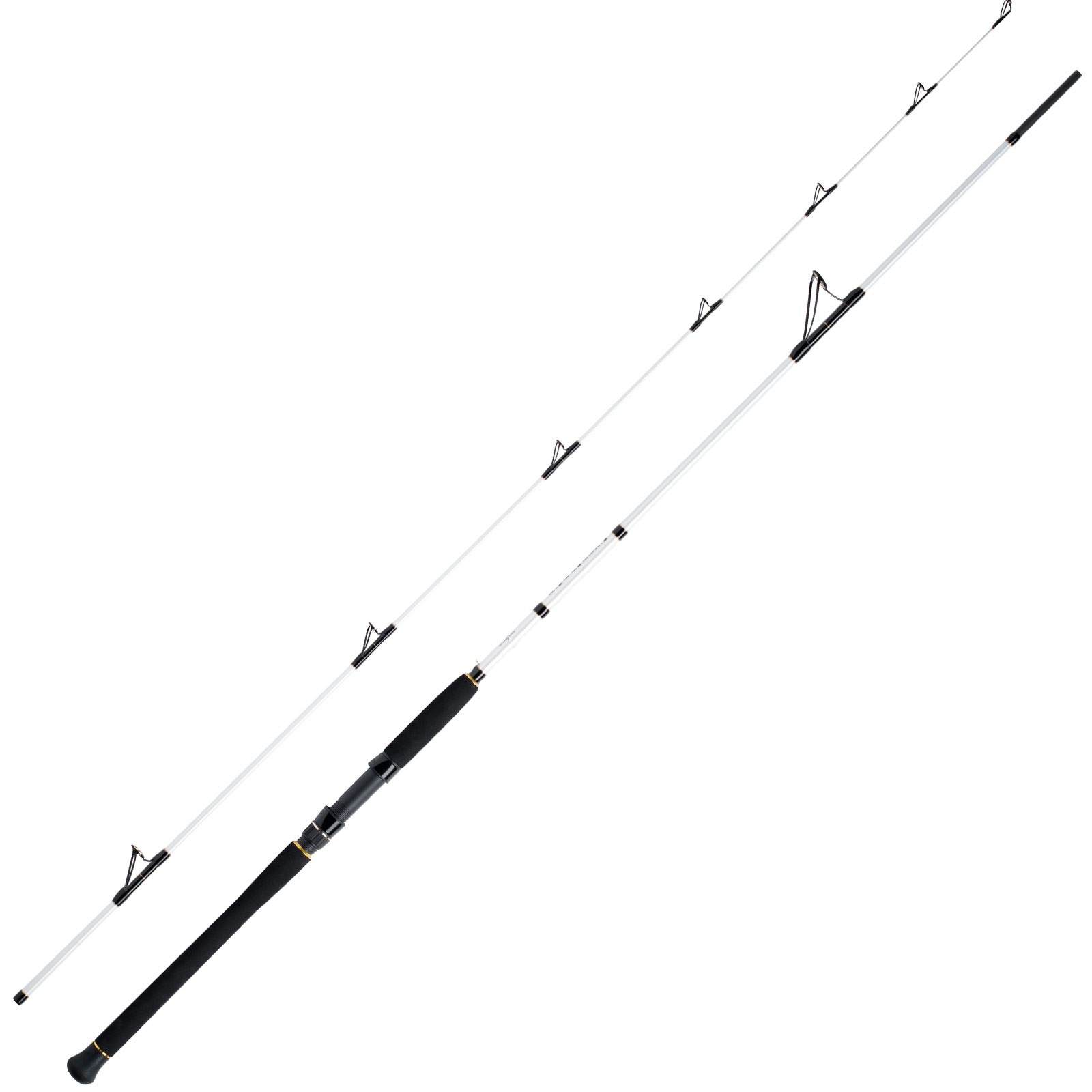 WFT Pollack Jigger Salzmeister  2,65m 20-90g Meeresrute 2-Teilig - Bild 1