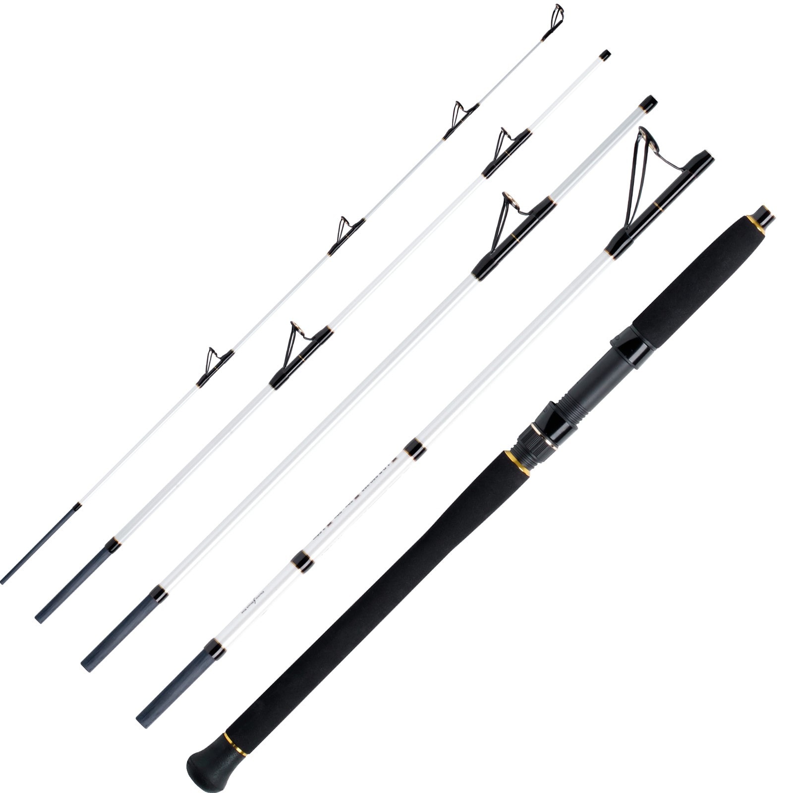 WFT Pollack Jigger Salzmeister 2,65m 20-90g Reiserute 5-Teilig - Bild 1