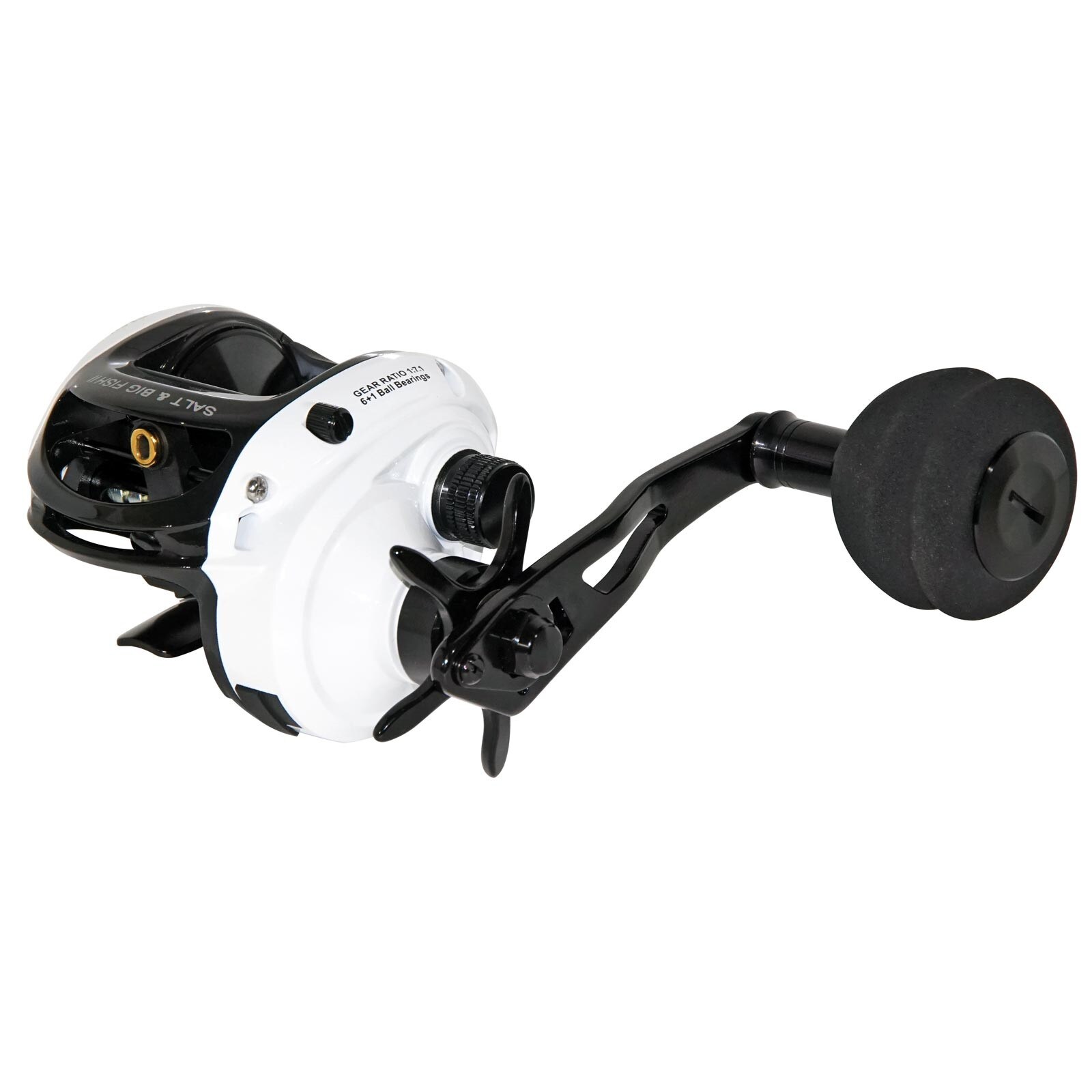 WFT Salt & Big Fish II Baitcastrolle Linkshand - Bild 1