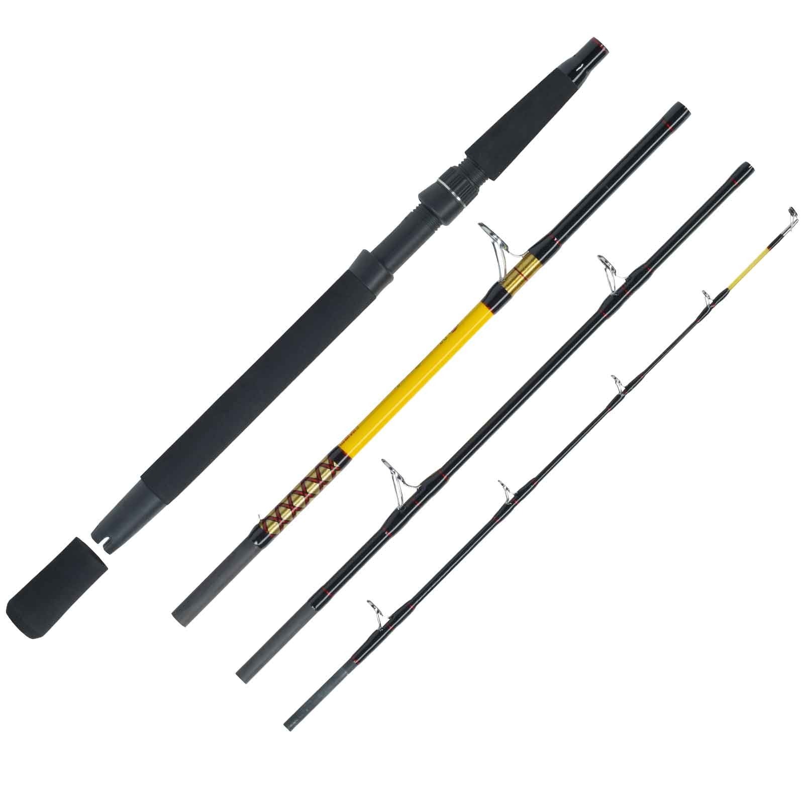 WFT Never Crack Fjordspin Travel 4 Teile 2,10m 100-400g Reiserute - Bild 1