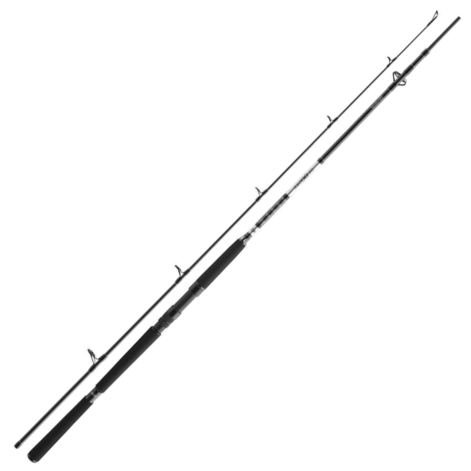 Daiwa BG Offshore Pilk 3,00m 50-165g Pilkrute - Bild 1