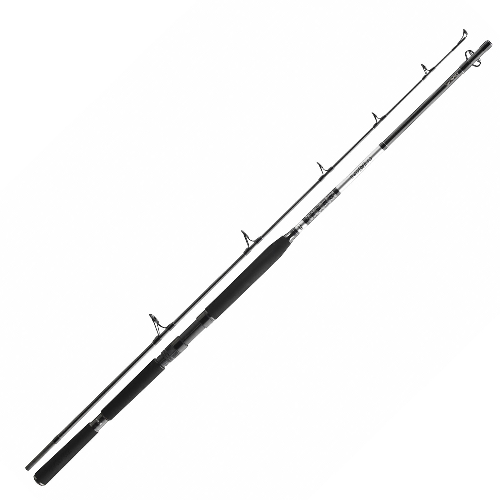 Daiwa BG Popper 2,30m 40-150g Meeres-Spinnrute - Bild 1