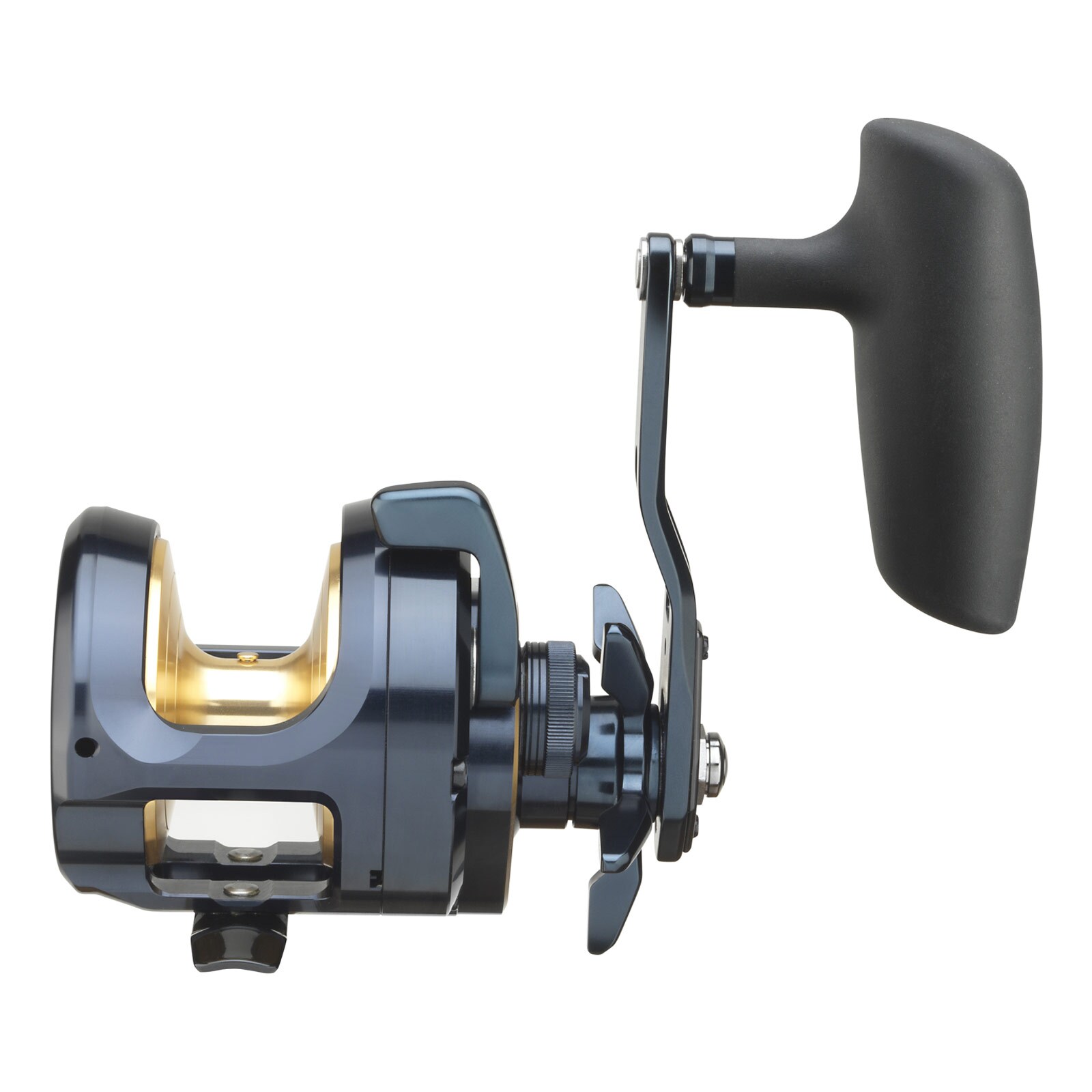 Daiwa 24 Saltiga (G) 15L Multirolle