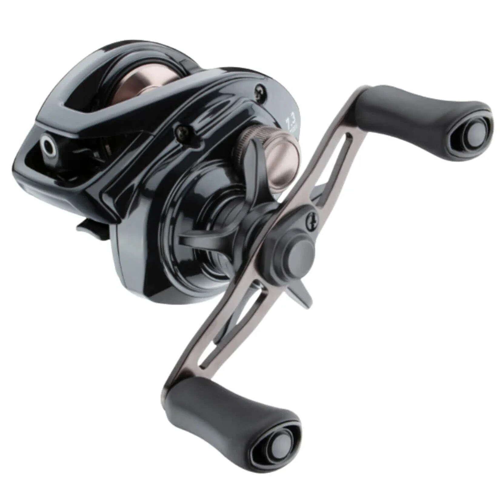 Daiwa 26 PR100H II HL Baitcastrolle